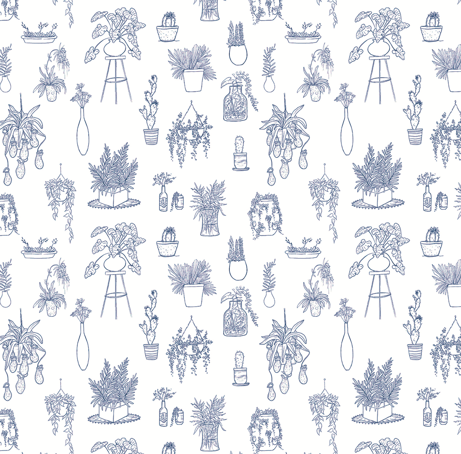 House Plant Pattern